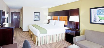 Holiday Inn Express & Suites ARLINGTON (I-20-PARKS MALL) (Arlington)