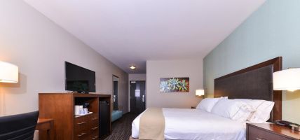 Holiday Inn Express & Suites INDIO - COACHELLA VALLEY (Indio)