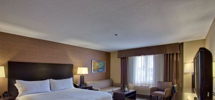 Holiday Inn Express & Suites COSTA MESA (Costa Mesa)