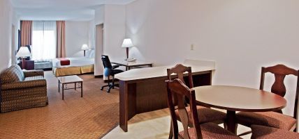 Holiday Inn Express & Suites TAMPA NORTHWEST-OLDSMAR (Oldsmar)