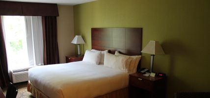 Holiday Inn Express & Suites STARKVILLE (Starkville)