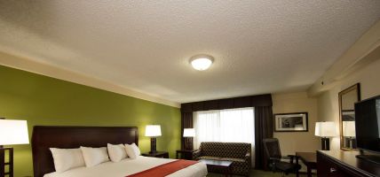 Holiday Inn ATHENS-UNIVERSITY AREA (Athens, Athens-Clarke County unified government)