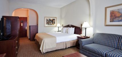 Holiday Inn & Suites PEACHTREE CITY (Peachtree City)