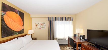 Holiday Inn & Suites CHICAGO-DOWNTOWN (Chicago)