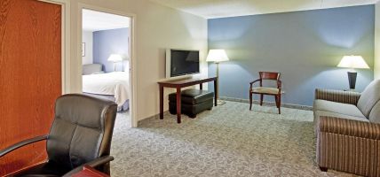 Holiday Inn & Suites CHICAGO-CAROL STREAM (WHEATON) (Carol Stream)