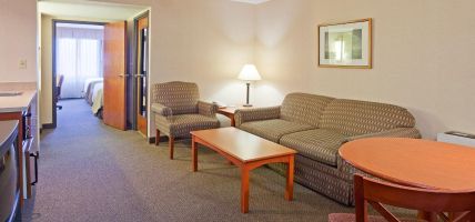 Holiday Inn & Suites DULUTH-DOWNTOWN (Duluth)