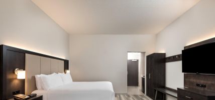 Holiday Inn Express & Suites LAKELAND SOUTH (Lakeland)