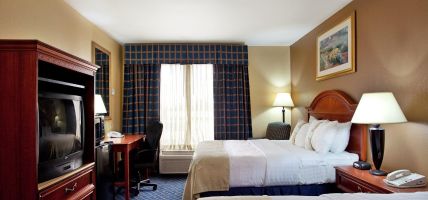 Holiday Inn Express & Suites OPELOUSAS (Opelousas)