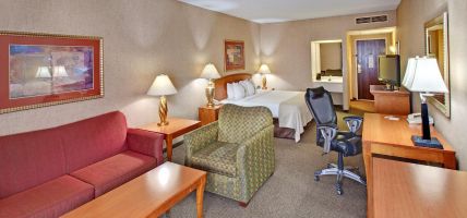 Holiday Inn RAPID CITY DOWNTOWN - CONV CTR (Rapid City)