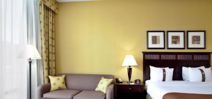 Holiday Inn ROANOKE-TANGLEWOOD-RT 419&I581 (Roanoke)