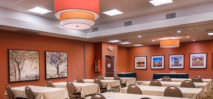 Holiday Inn ST. LOUIS - FOREST PARK (St Louis)