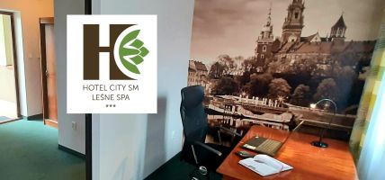 Hotel City SM Business & SPA (Cracovia)