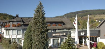 Hotel Haus zur Sonne Landgasthof (Hallenberg)
