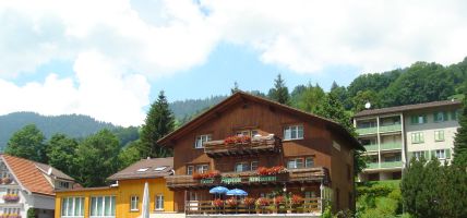 Hotel Alpina (Alpen)