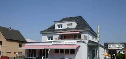Hotel Frohmüller Gasthof (Rauenberg)
