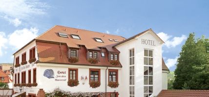 Hotel Zum alten Wasserrad (Annweiler am Trifels)
