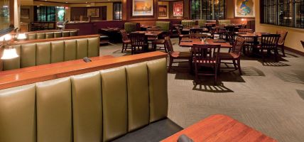 Hotel Crowne Plaza DULLES AIRPORT (Herndon)