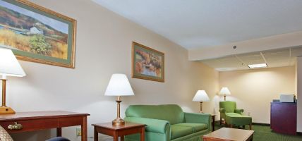 Holiday Inn Express MT. PLEASANT - SCOTTDALE (Mount Pleasant)