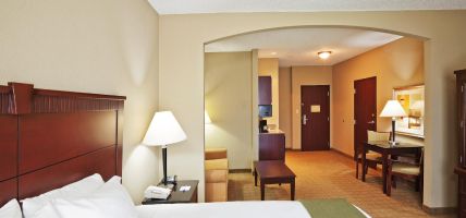 Holiday Inn Express & Suites MCALESTER (McAlester)