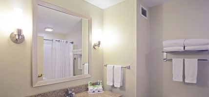 Holiday Inn Express & Suites GRAND RAPIDS-NORTH (Grand Rapids)