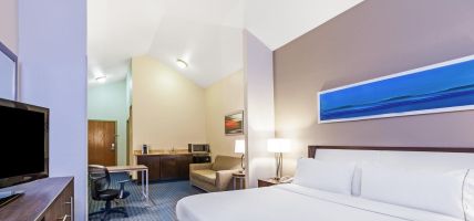 Holiday Inn Express & Suites PHARR (Pharr)