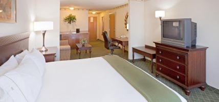Holiday Inn Express & Suites PHARR (Pharr)