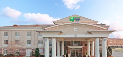 Holiday Inn Express & Suites VICKSBURG (Vicksburg)