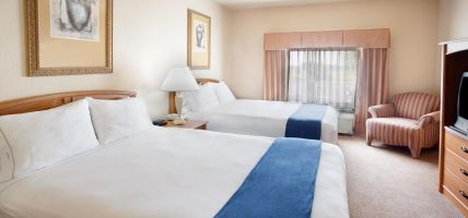 Holiday Inn Express & Suites MISSION-MCALLEN AREA (McAllen)