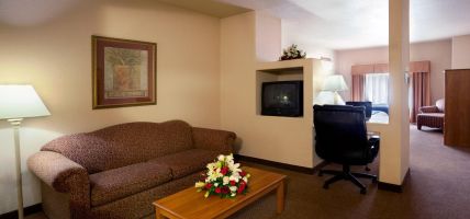 Holiday Inn Express & Suites MISSION-MCALLEN AREA (McAllen)