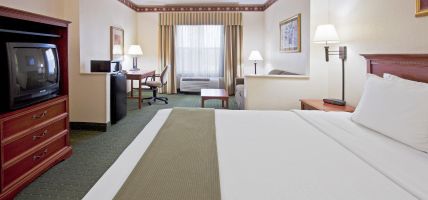 Holiday Inn Express & Suites ORLANDO INTERNATIONAL AIRPORT (Orlando)