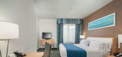 Holiday Inn Express & Suites SAN ANTONIO RIVERCENTER AREA (San Antonio)