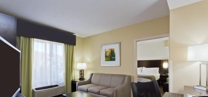 Holiday Inn Express & Suites TAMPA-I-75 @ BRUCE B. DOWNS (Tampa)