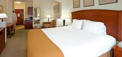 Holiday Inn Express & Suites DALLAS - GRAND PRAIRIE I-20 (Grand Prairie)