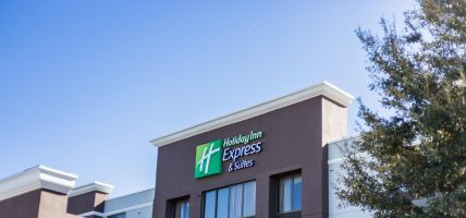 Holiday Inn Express & Suites AUSTIN AIRPORT (Austin)