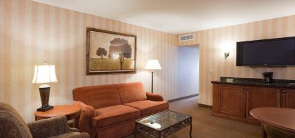 Holiday Inn & Suites MINNEAPOLIS - LAKEVILLE (Lakeville)