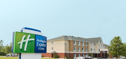 Holiday Inn Express & Suites JACKSON (Jackson)