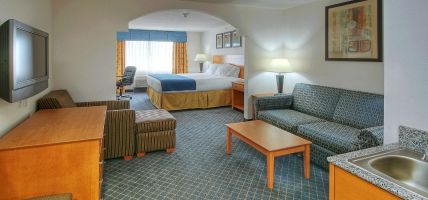 Holiday Inn Express & Suites CARLSBAD (Carlsbad)