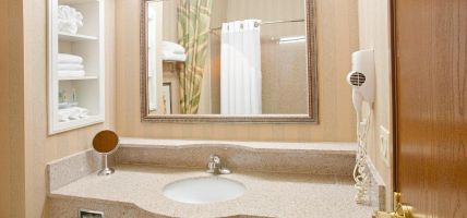 Holiday Inn Express & Suites FORT WORTH - FOSSIL CREEK (Fort Worth)