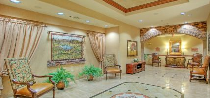 Holiday Inn Express & Suites LAS CRUCES (Las Cruces)