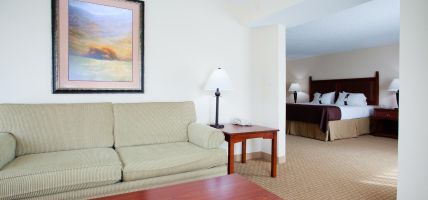 Holiday Inn Express & Suites ASHEVILLE DOWNTOWN (Asheville)