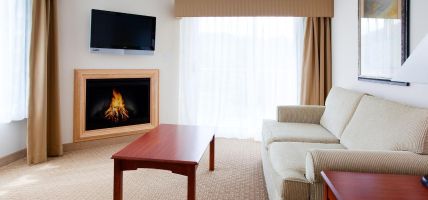 Holiday Inn Express & Suites ASHEVILLE DOWNTOWN (Asheville)