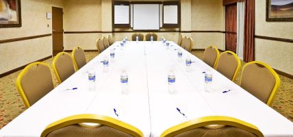 Holiday Inn Express & Suites IRVING CONV CTR - LAS COLINAS (Irving)