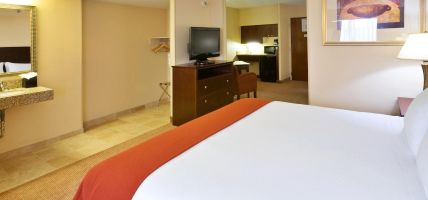 Holiday Inn Express & Suites IRVING CONV CTR - LAS COLINAS (Irving)