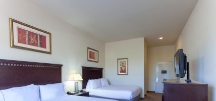 Holiday Inn Express & Suites CLARKSVILLE (Clarksville)