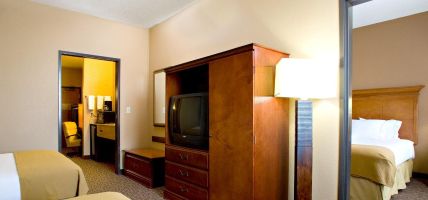 Holiday Inn Express & Suites SAN ANTONIO-DTWN MARKET AREA (San Antonio)