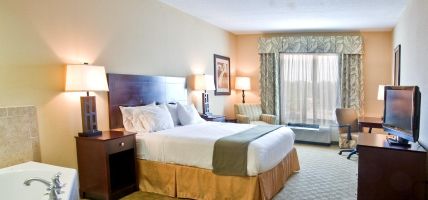 Holiday Inn Express & Suites TAMPA -USF-BUSCH GARDENS (Tampa)