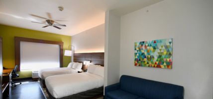 Holiday Inn Express & Suites SEGUIN (Seguin)