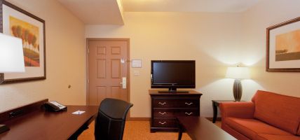 Holiday Inn Express & Suites LAKELAND NORTH - I-4 (Lakeland)