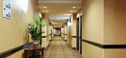 Holiday Inn Express & Suites OZONA (Ozona)