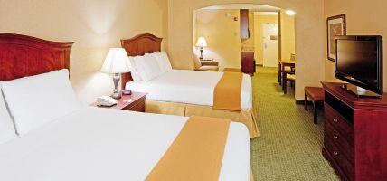 Holiday Inn Express & Suites BINGHAMTON UNIVERSITY-VESTAL (Vestal)